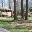 Fescue Seed Lawn in Atlanta