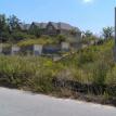 Commercial Bank Owned lot clean-up - BEFORE